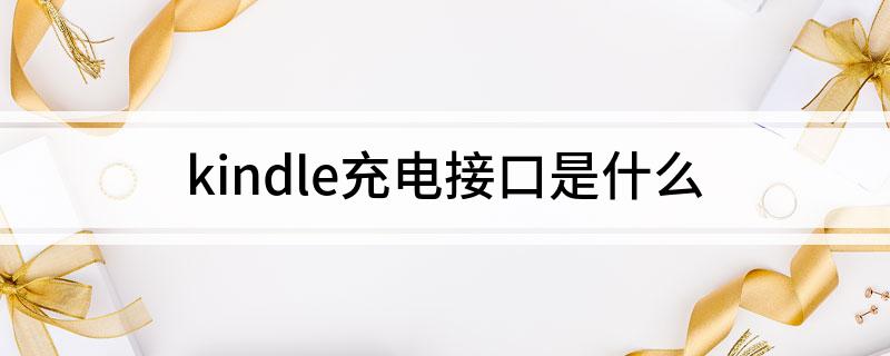 ndle充电接口是什么PP模拟器免费试玩