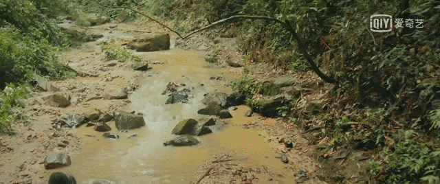 邪还真不是谁演都能火的。PP电子模拟器免费这个吴(图6)